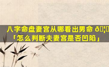 八字命盘妻宫从哪看出男命 🦈 「怎么判断夫妻宫是否凹陷」